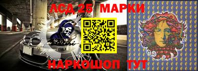 крисы Кинель