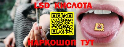 крисы Кинель