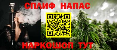 крисы Кинель