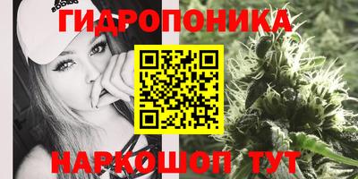 крисы Кинель