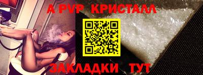 крисы Кинель