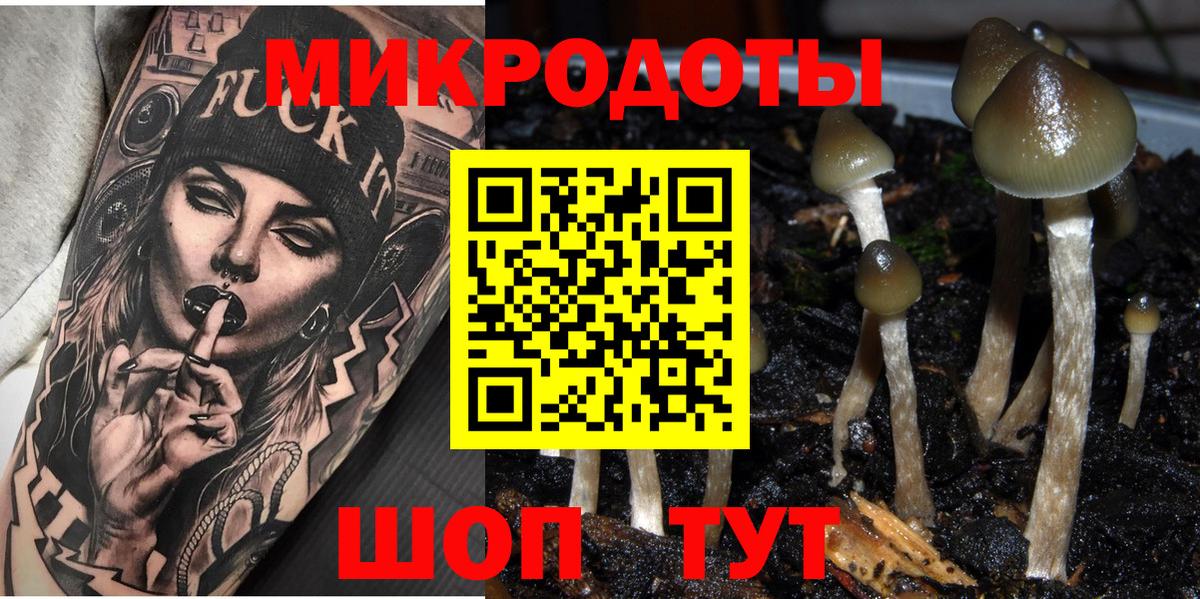 Чусовой  Псилоцибиновые грибы Cubensis  Псилоцибиновые грибы Psilocybine cubensis  Вход с VPN 