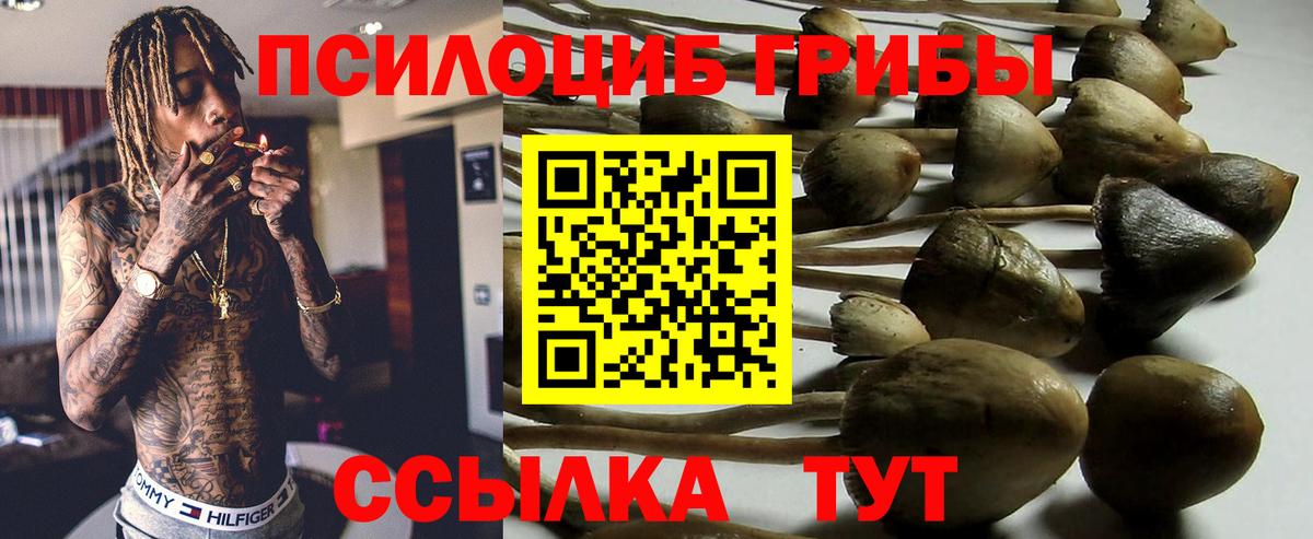 Псилоцибиновые грибы прущие грибы Чусовой